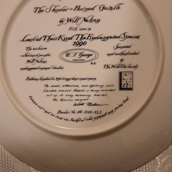 Decorator plate - Picture 2 of 4